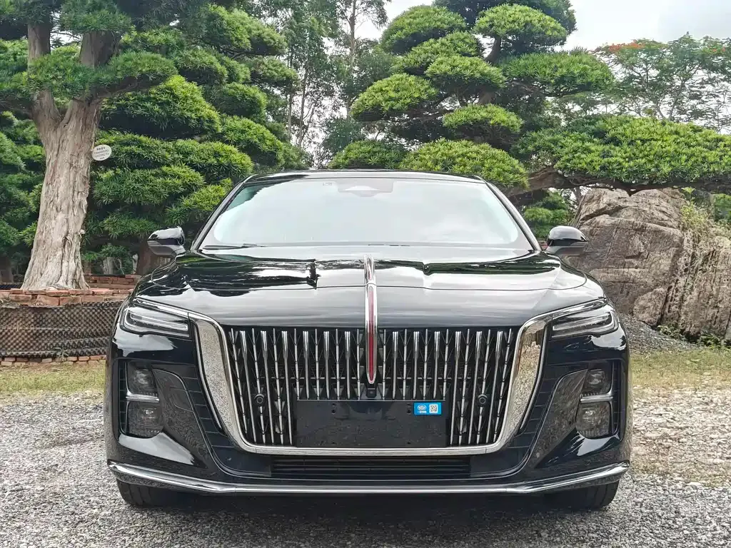 Hongqi H5 — фото 10