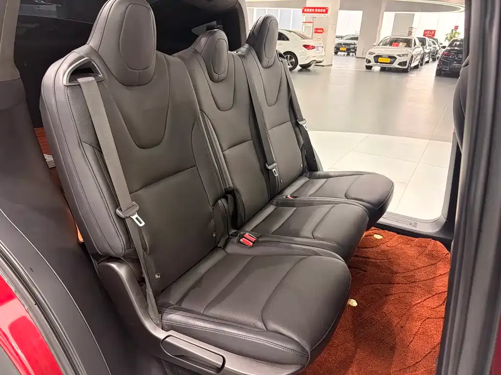 Tesla Model X — фото 9