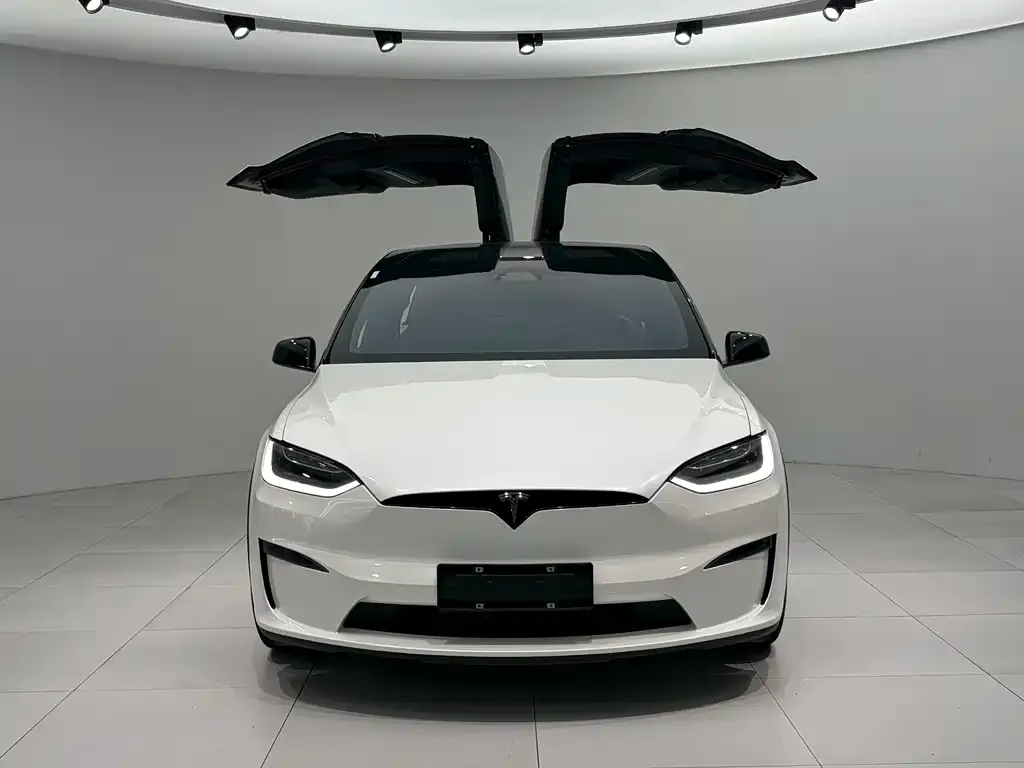 Tesla Model X — фото 2