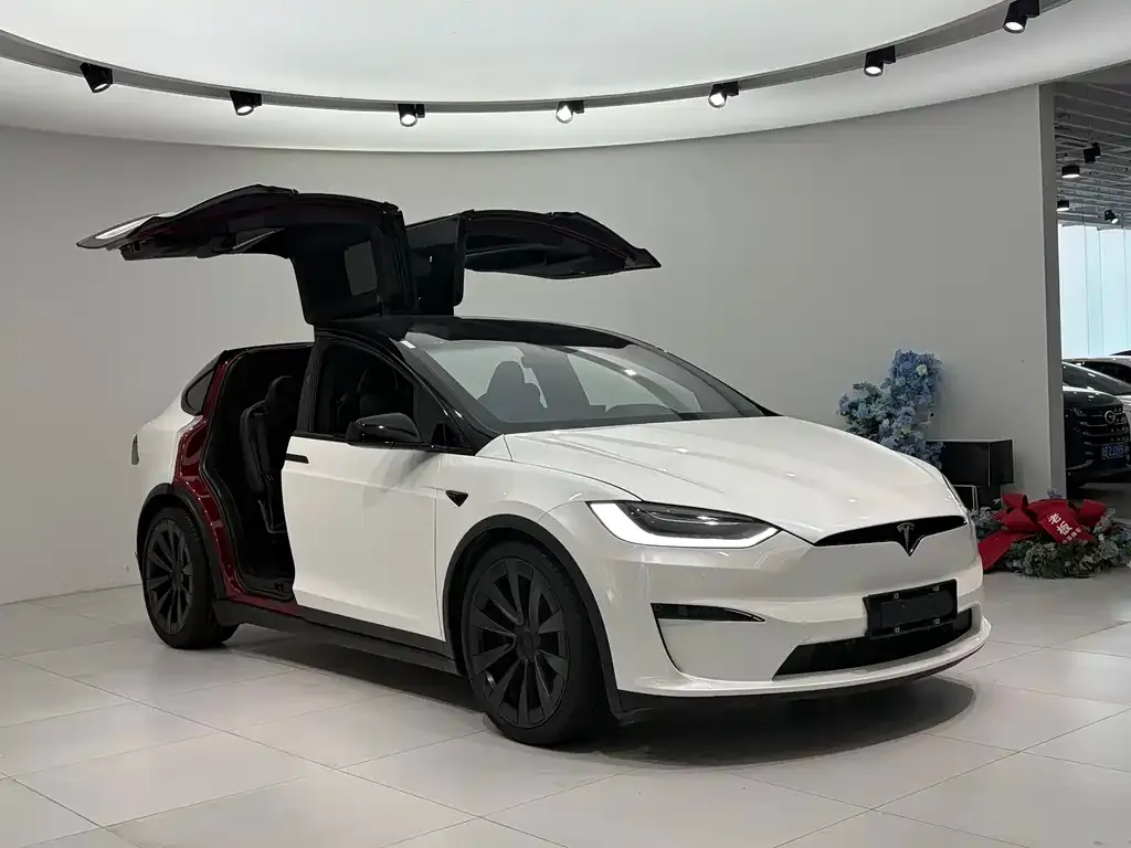 Tesla Model X — фото 10