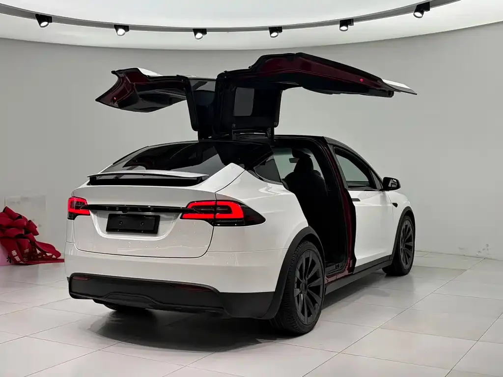 Tesla Model X — фото 8