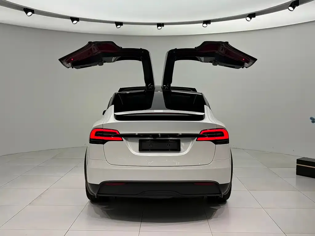 Tesla Model X — фото 3