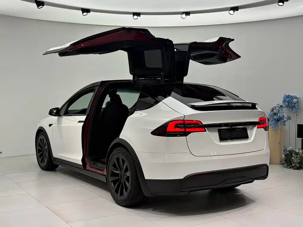 Tesla Model X — фото 5