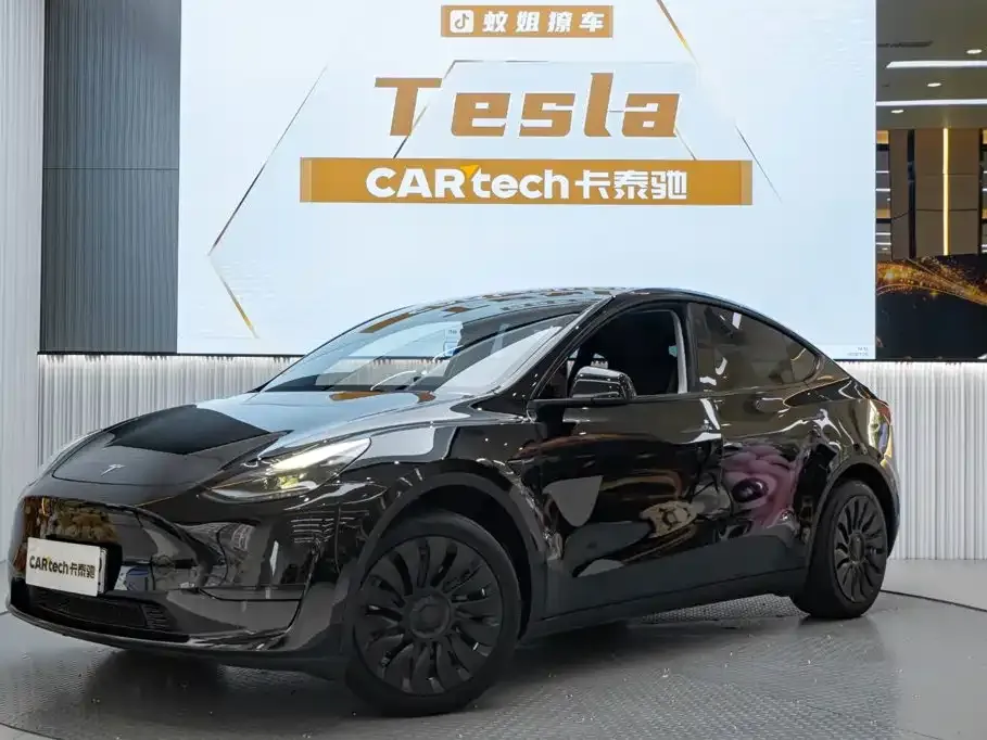 Tesla Model Y — фото 9