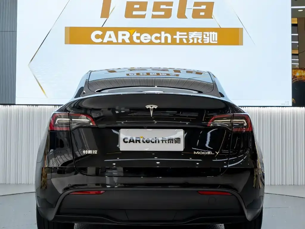 Tesla Model Y — фото 10