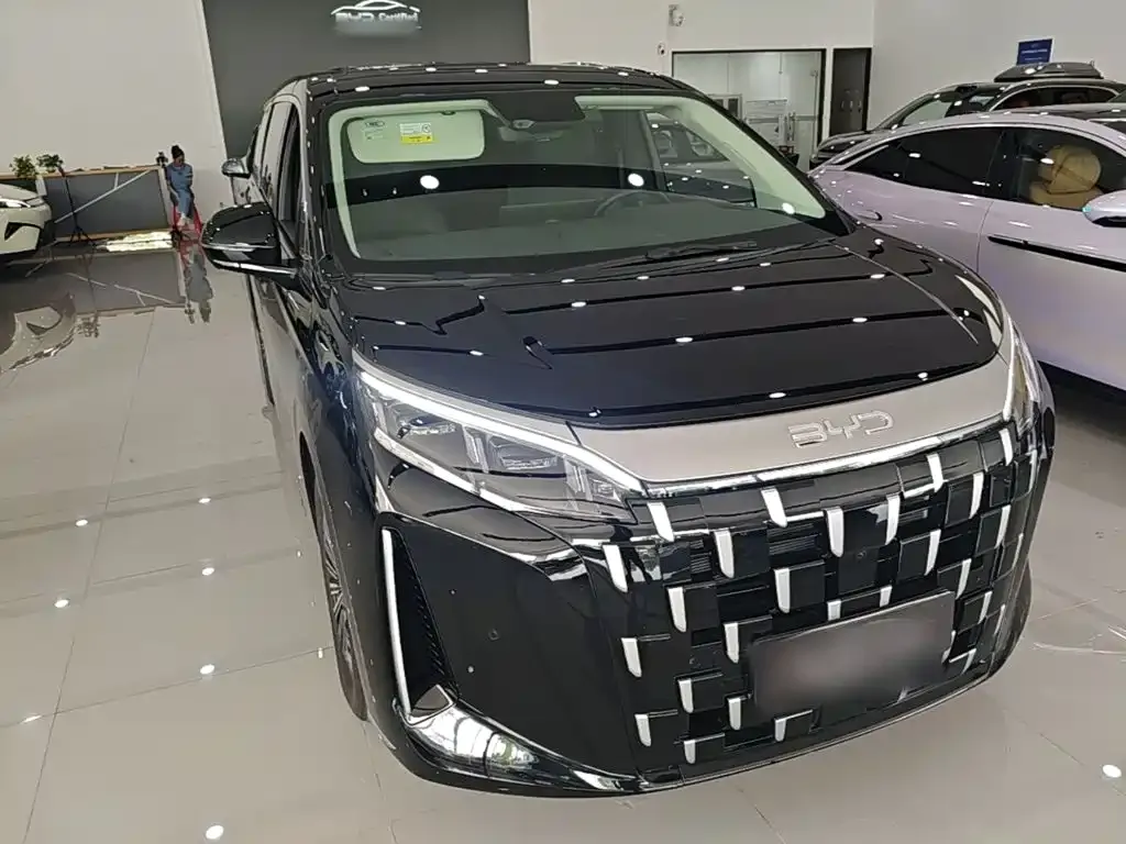 BYD M9 — фото 10