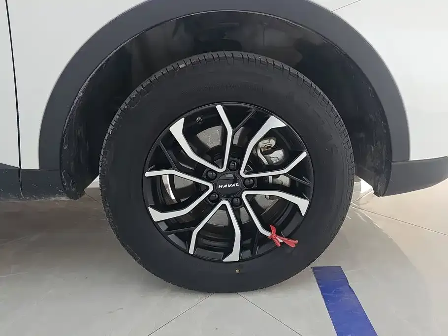 Haval H6 2023 из CN, фото 2