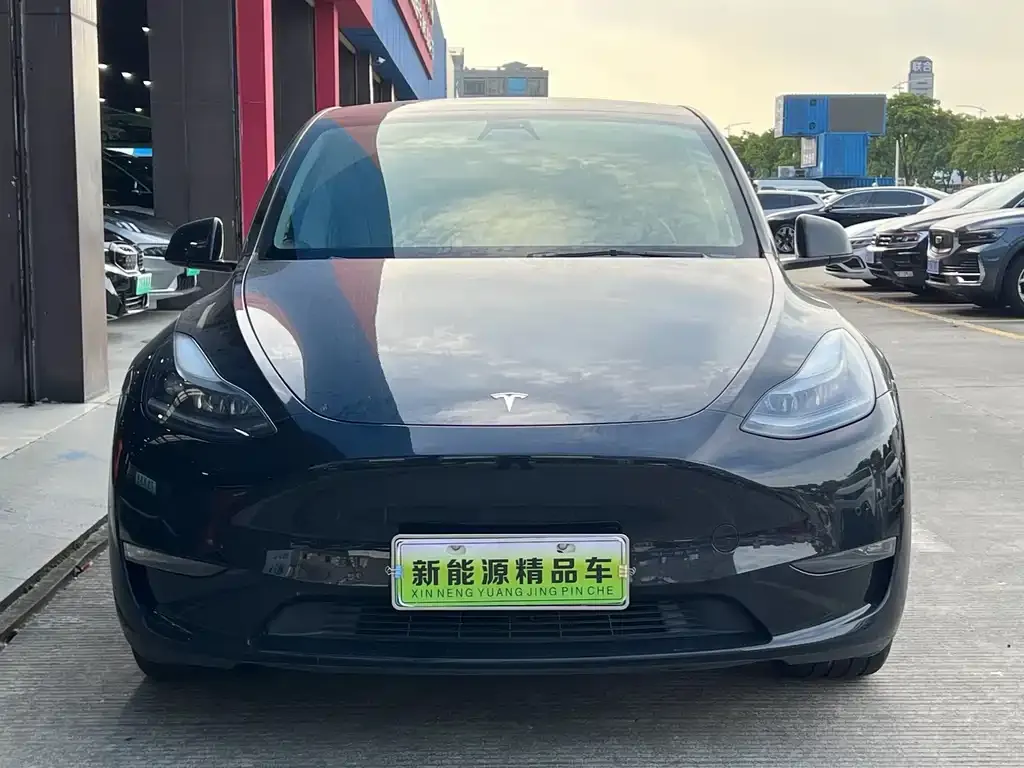 Tesla Model Y — фото 8