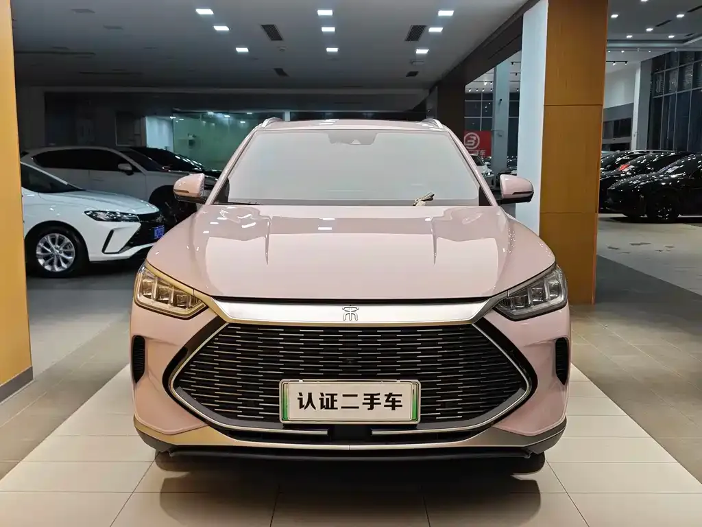 BYD PLUS New Energy — фото 7