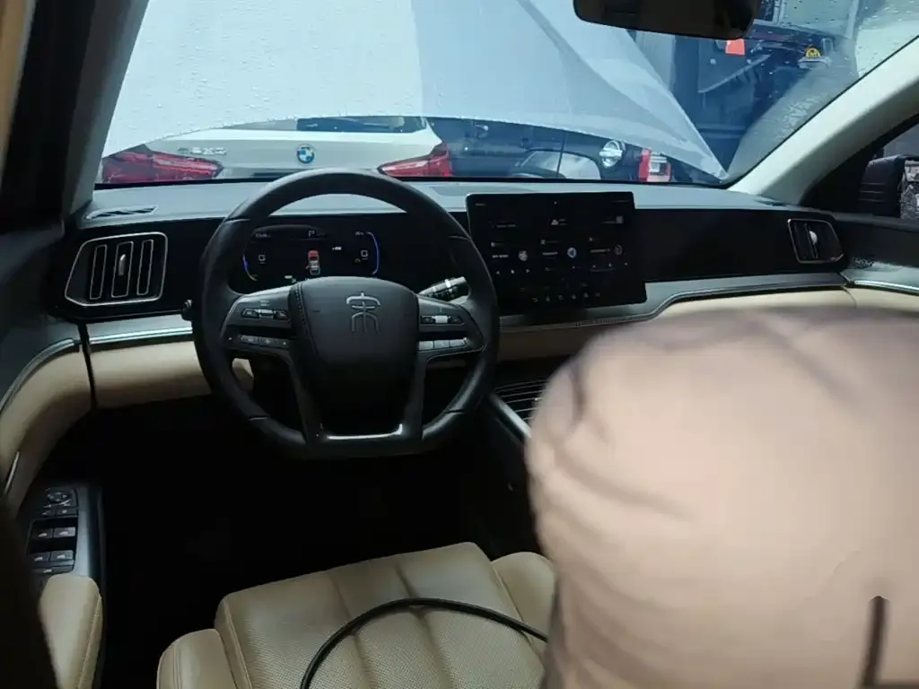 BYD Pro New Energy 2024 из CN, фото 6