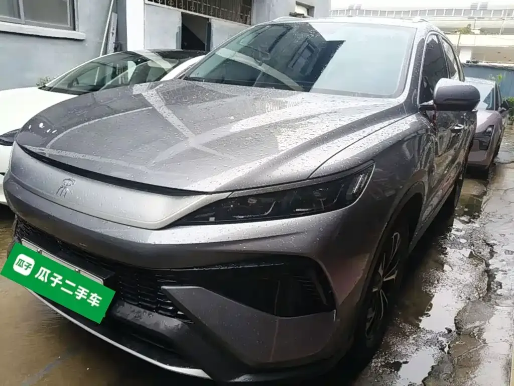 BYD Pro New Energy 2024 из CN, фото 2
