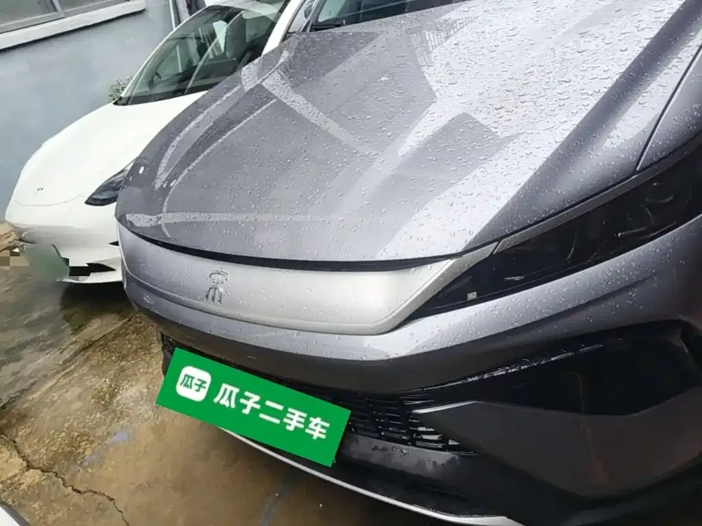 BYD Pro New Energy 2024 из CN, фото 4