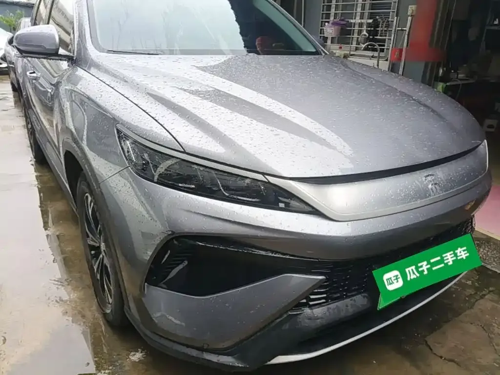 BYD Pro New Energy 2024 из CN, фото 9