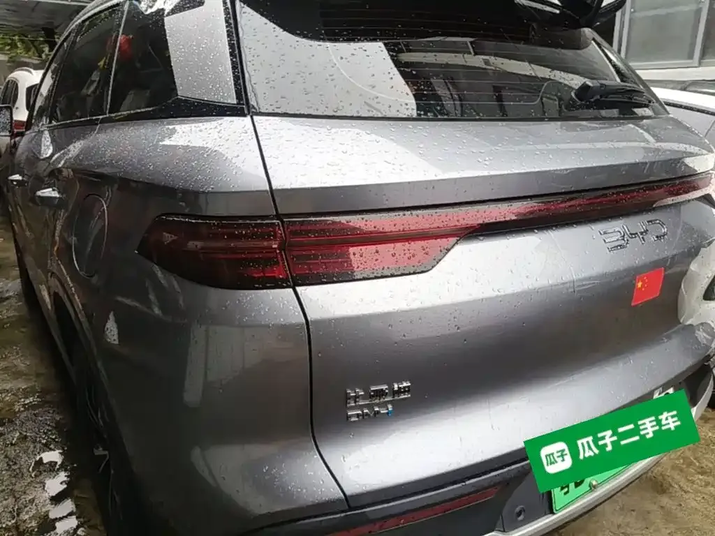 BYD Pro New Energy 2024 из CN, фото 10
