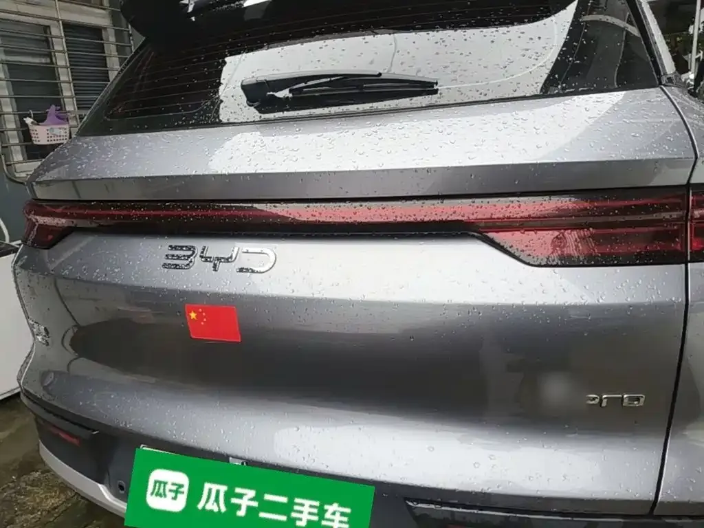 BYD Pro New Energy 2024 из CN, фото 3