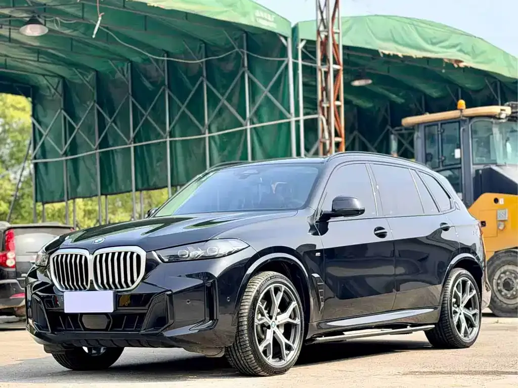 BMW X5 — фото 1