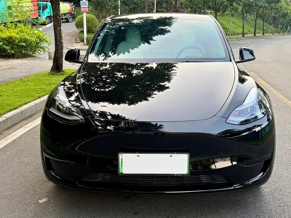 Tesla Model Y — фото 8