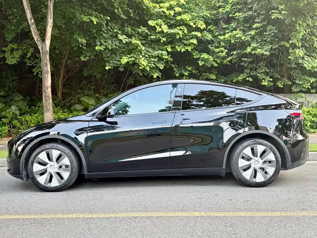 Tesla Model Y — фото 7
