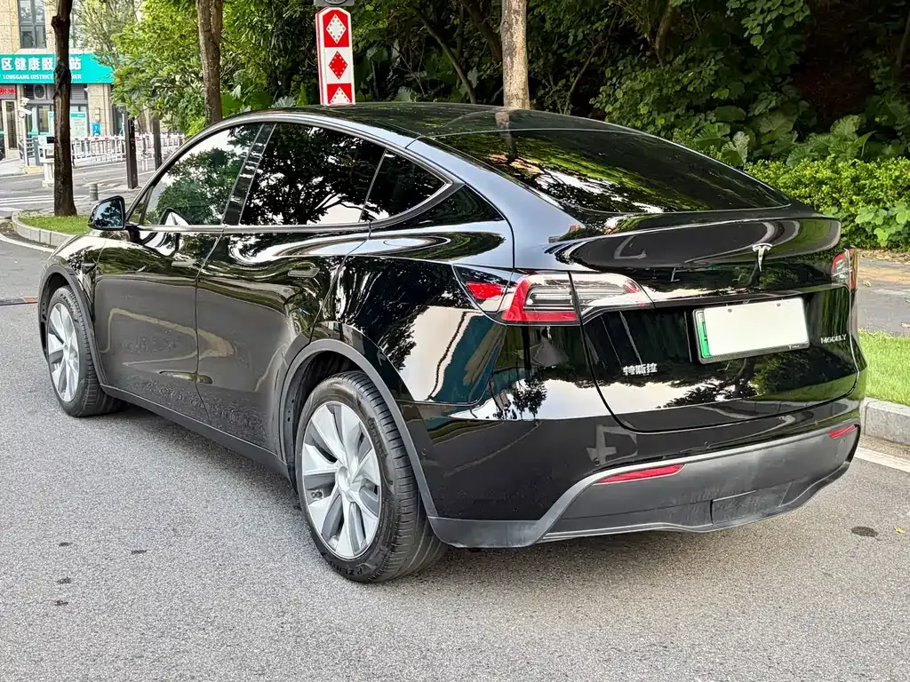 Tesla Model Y — фото 9