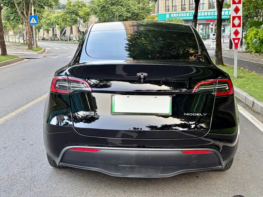 Tesla Model Y — фото 6
