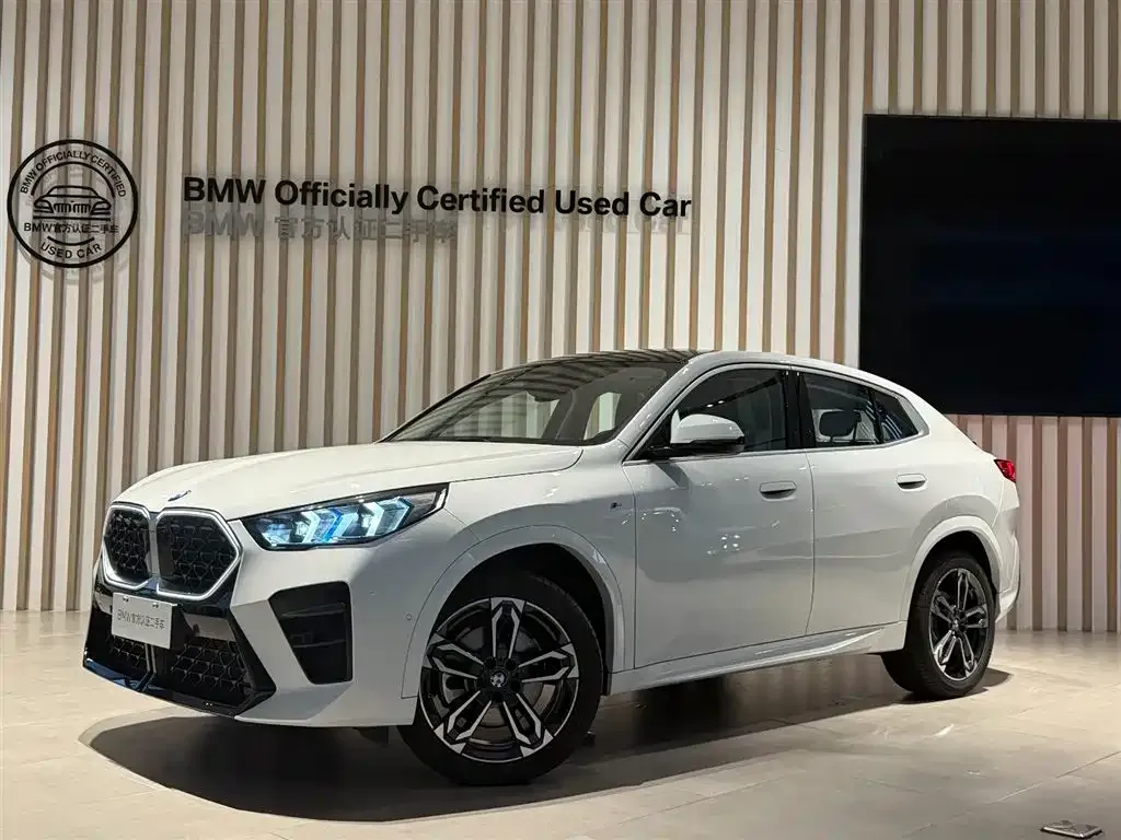 BMW X2 (Import) — фото 1