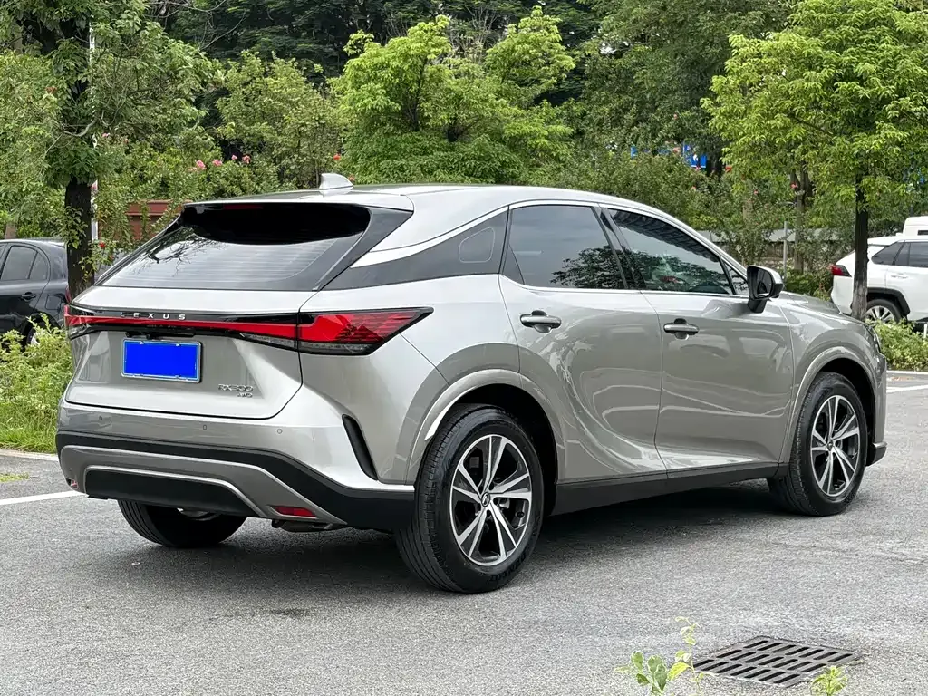 Lexus RX — фото 10