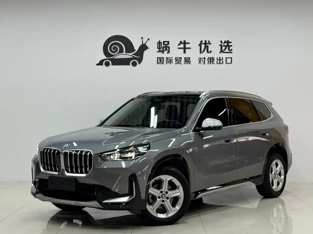 BMW X1 — фото 1