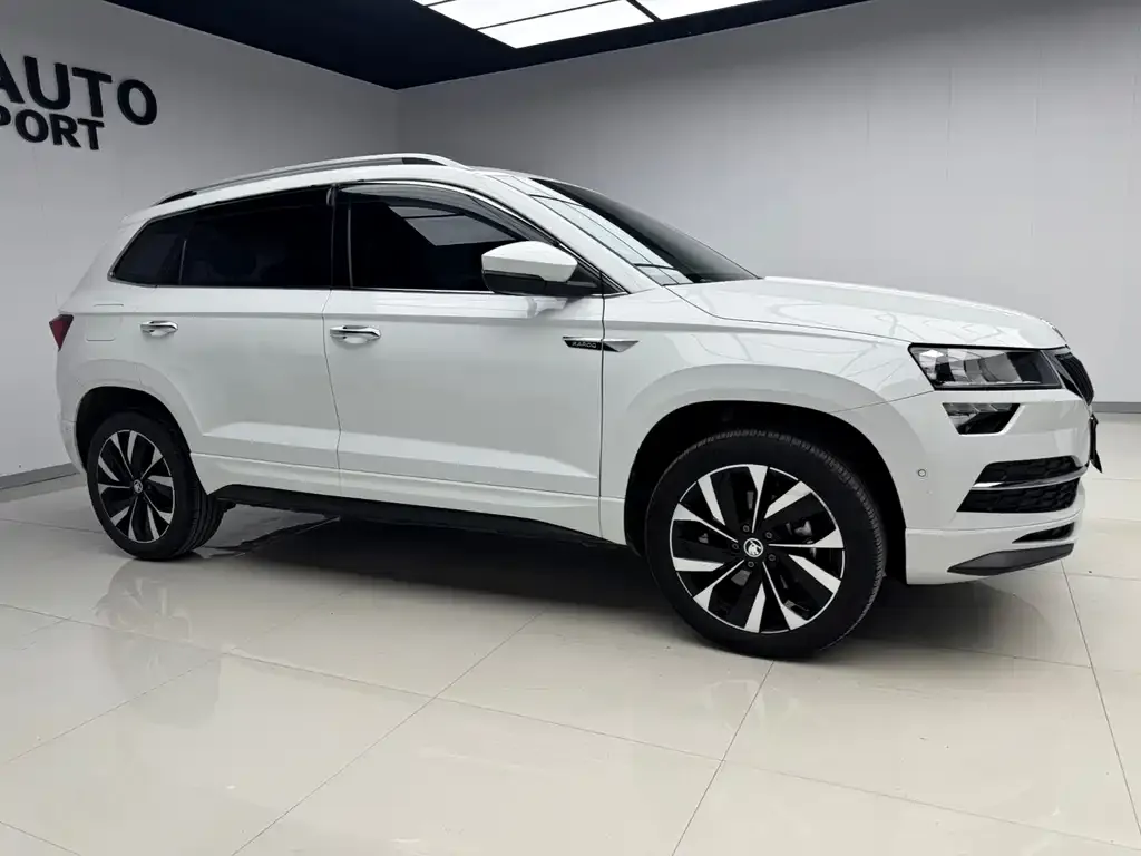 Skoda Karoq — фото 10