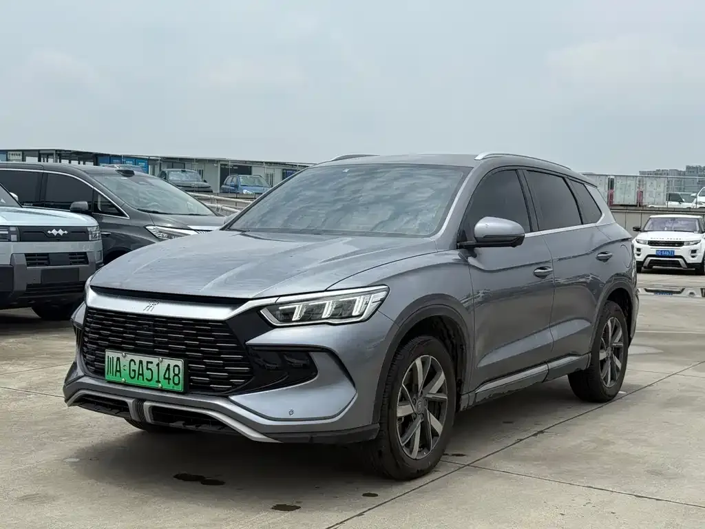 BYD Pro New Energy