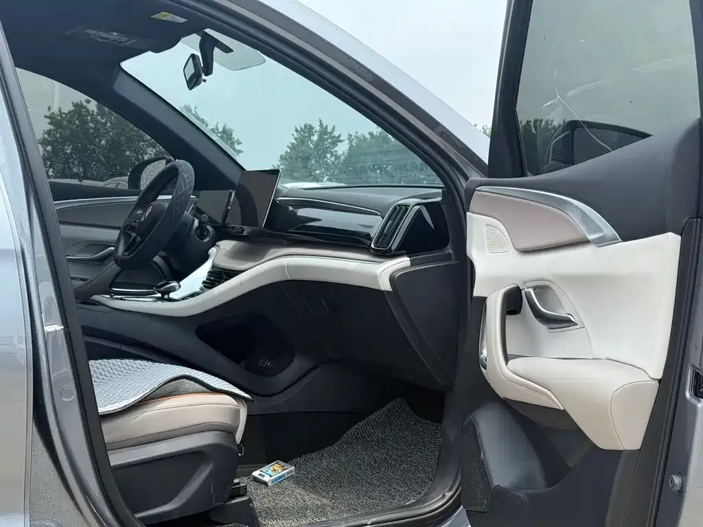 BYD Pro New Energy 2024 из CN, фото 9