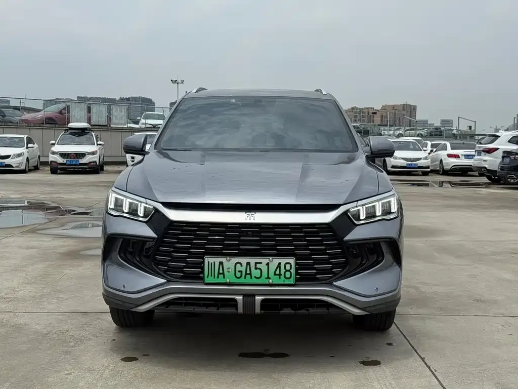 BYD Pro New Energy 2024 из CN, фото 8