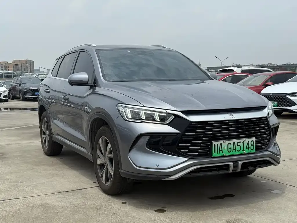 BYD Pro New Energy 2024 из CN, фото 7