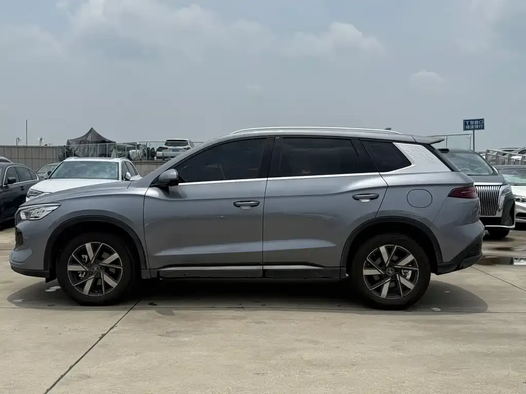 BYD Pro New Energy 2024 из CN, фото 2