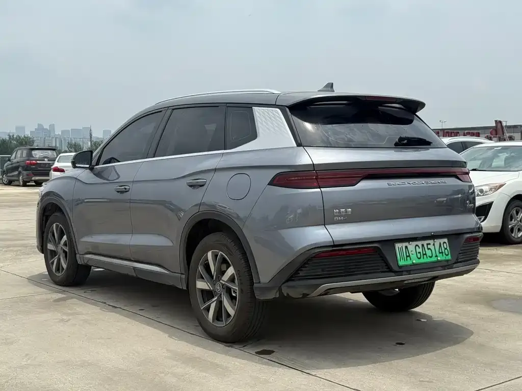 BYD Pro New Energy 2024 из CN, фото 5