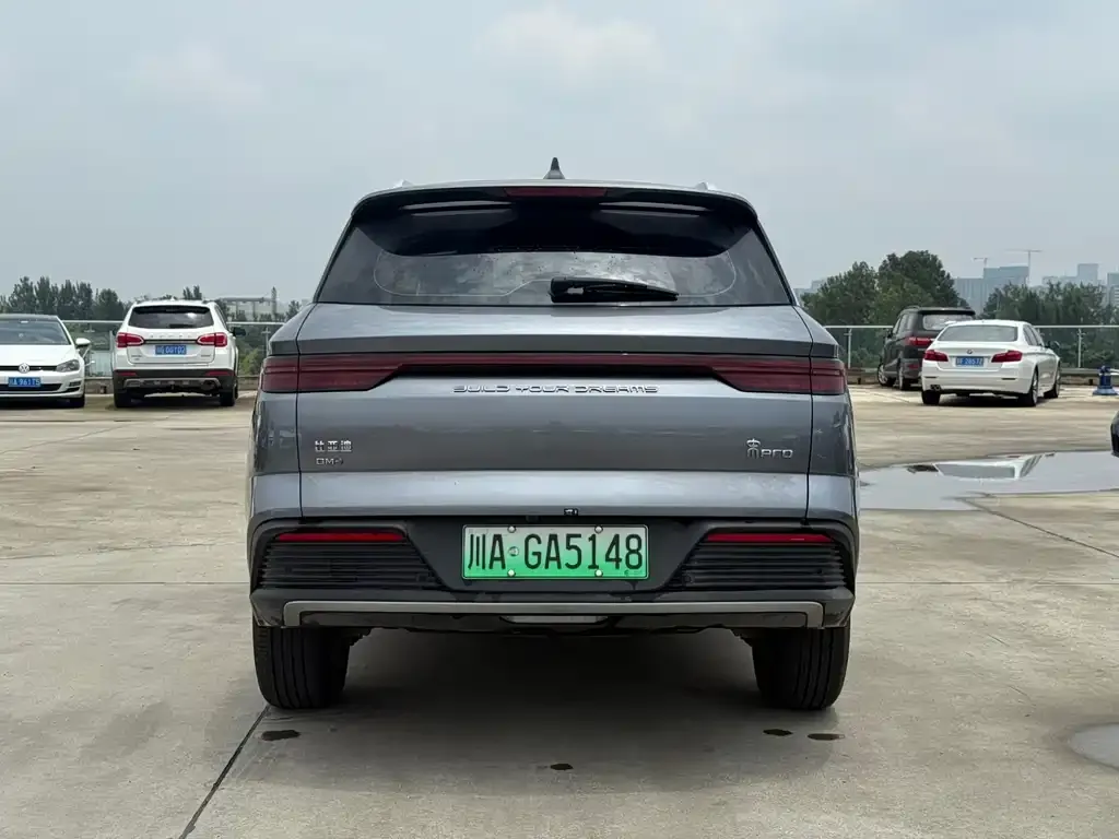 BYD Pro New Energy 2024 из CN, фото 3