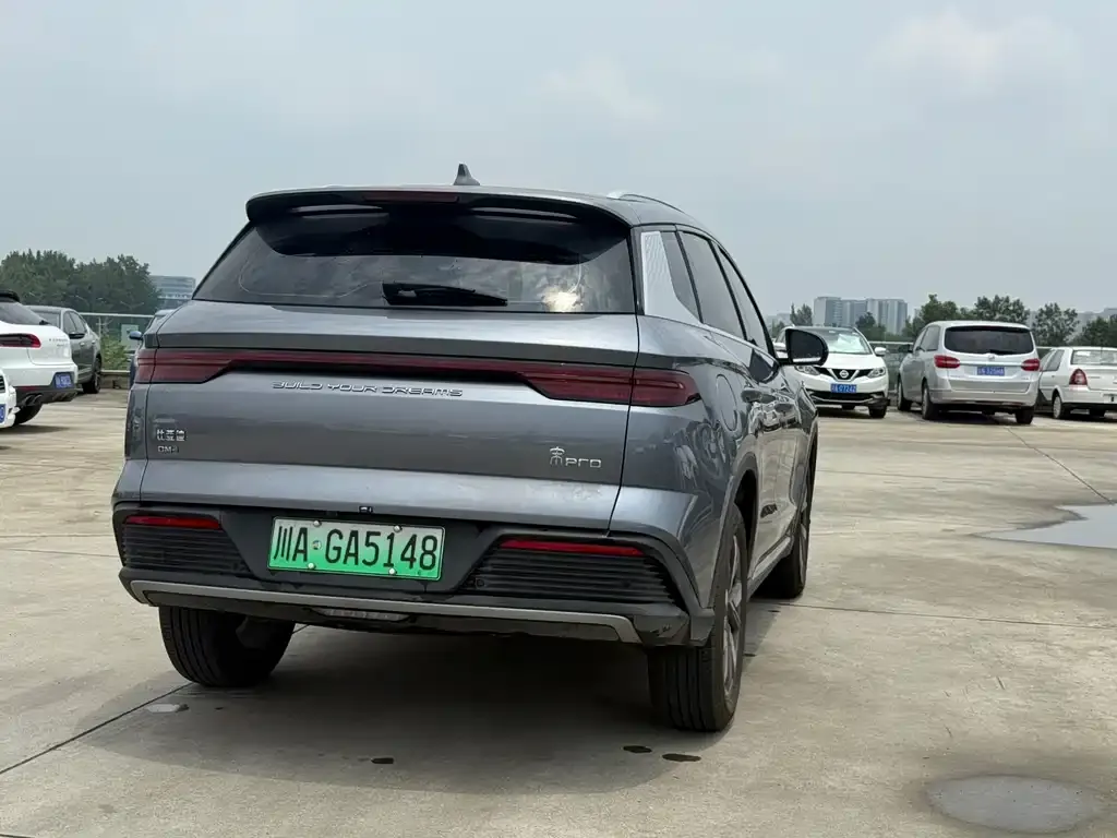 BYD Pro New Energy 2024 из CN, фото 4