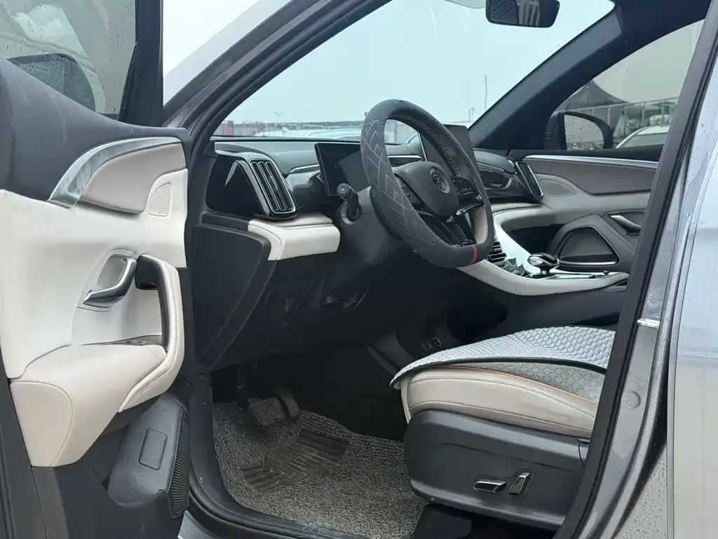 BYD Pro New Energy 2024 из CN, фото 10