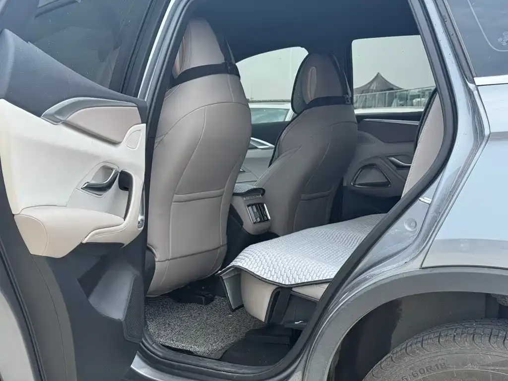 BYD Pro New Energy 2024 из CN, фото 6