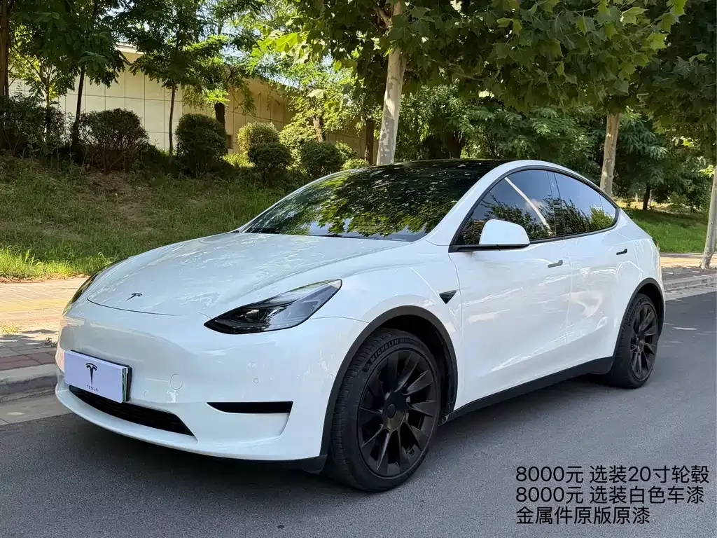 Tesla Model Y — фото 1