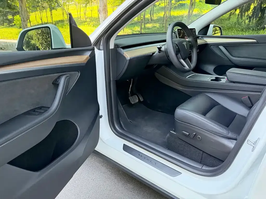 Tesla Model Y — фото 9