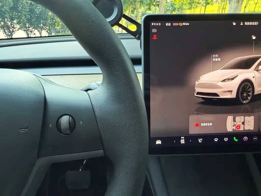 Tesla Model Y — фото 2