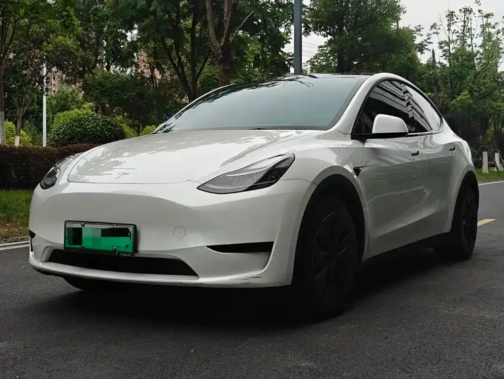 Tesla Model Y — фото 1