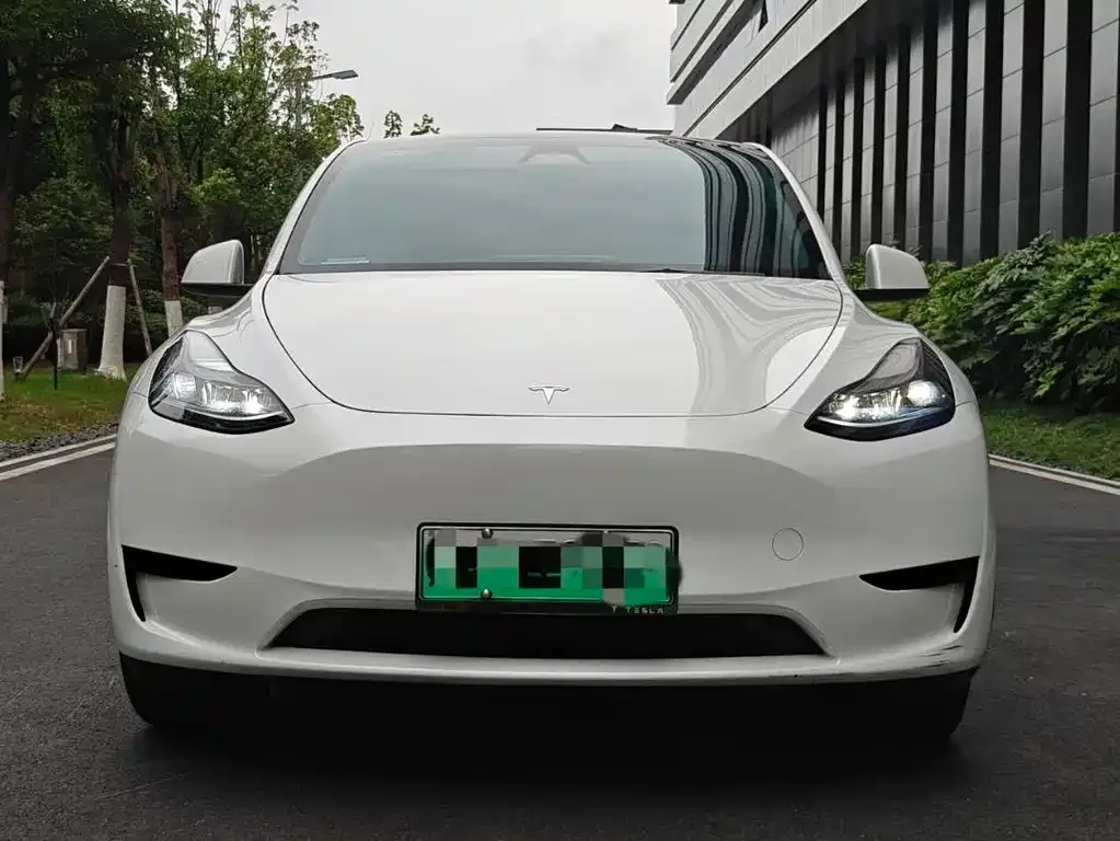 Tesla Model Y — фото 3