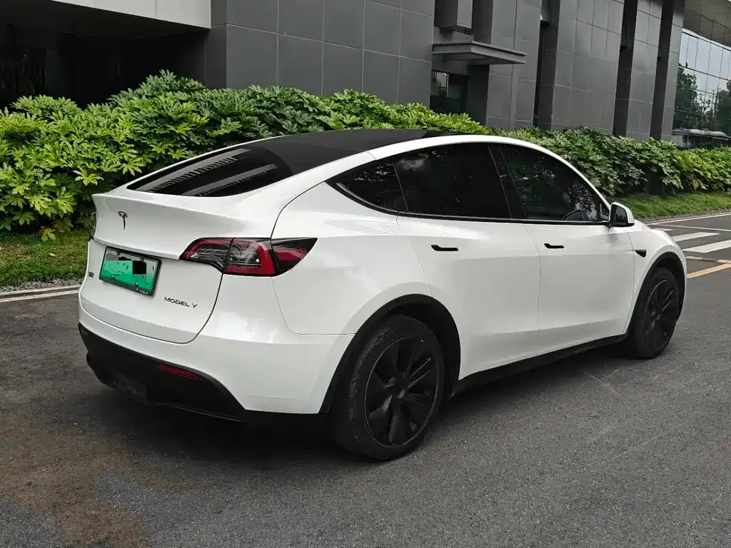 Tesla Model Y — фото 8