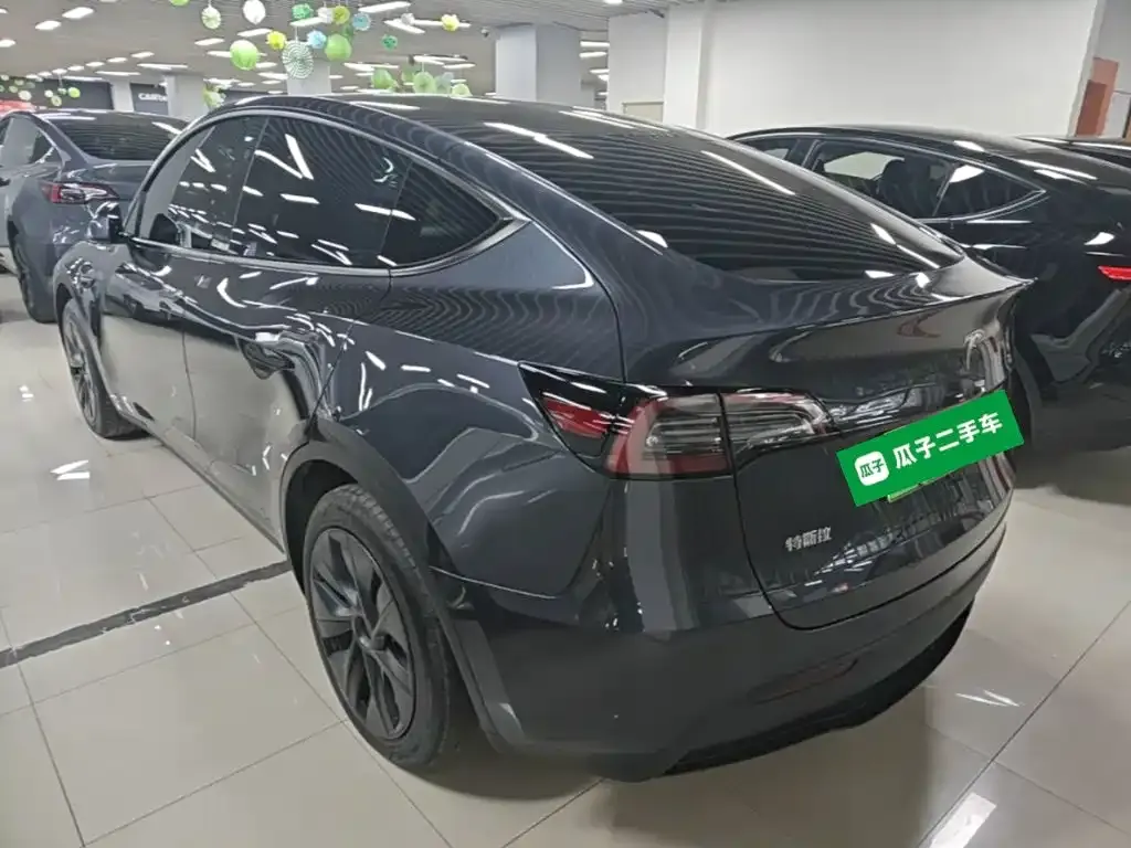 Tesla Model Y — фото 9
