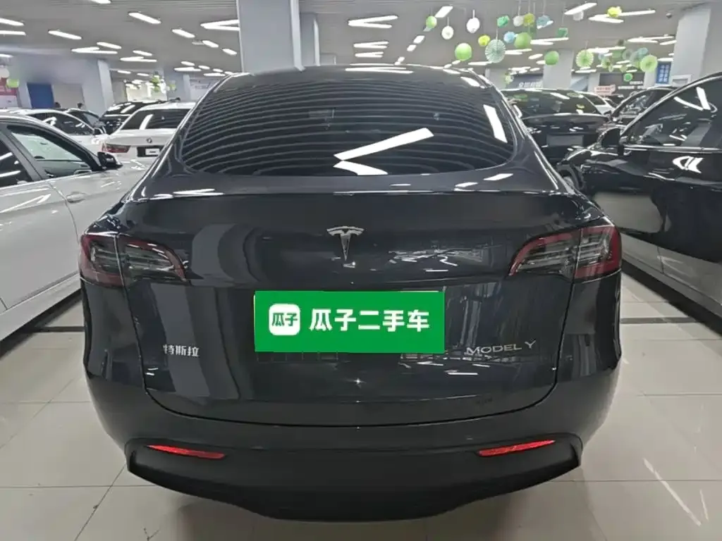Tesla Model Y — фото 10