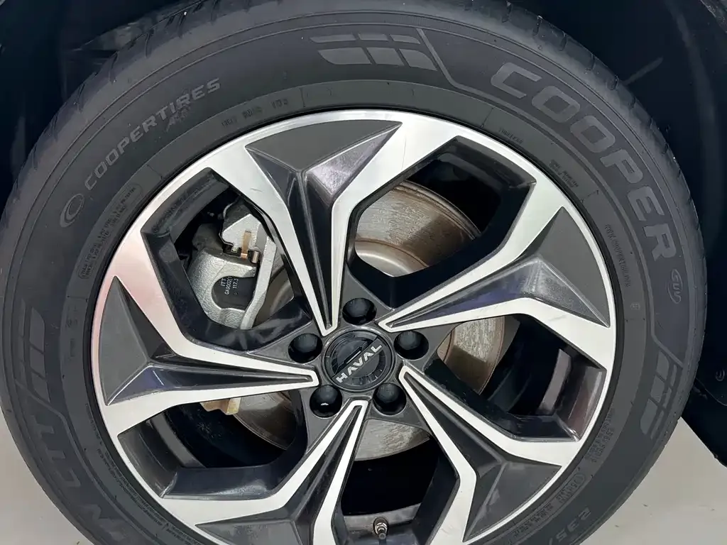 Haval Xiaolong MAX — фото 4
