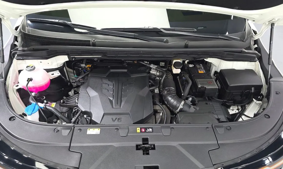 Kia Carnival — фото 10