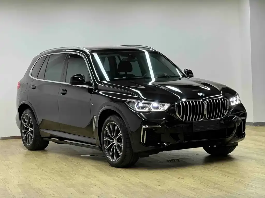 BMW X5 — фото 9