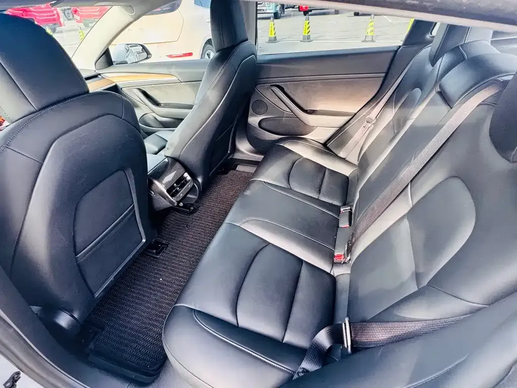 Tesla Model 3 2021 из CN, фото 2